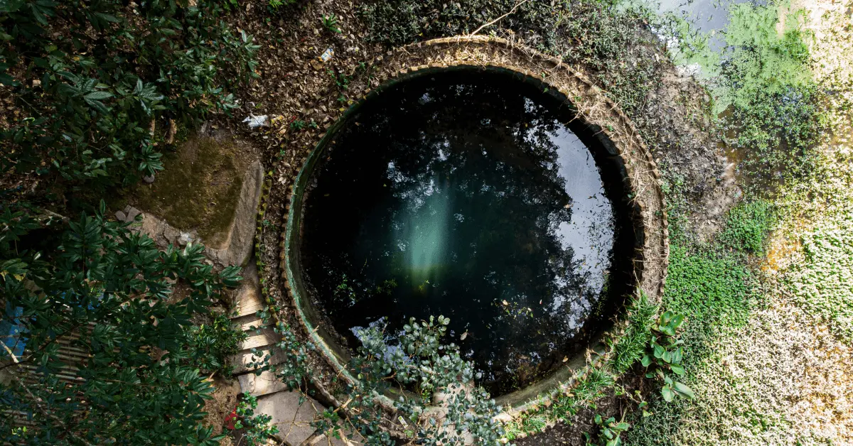 a circular well surrounded by trees and plants