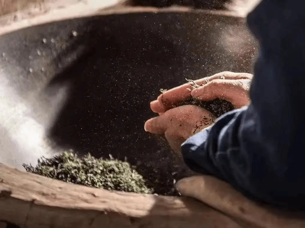 biluochun tea leaves being pan fired process