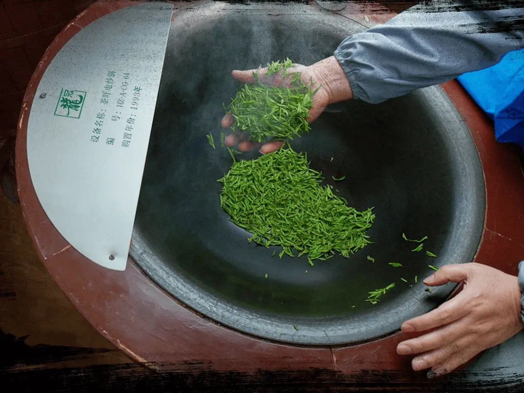 hand made longjing tea - shake