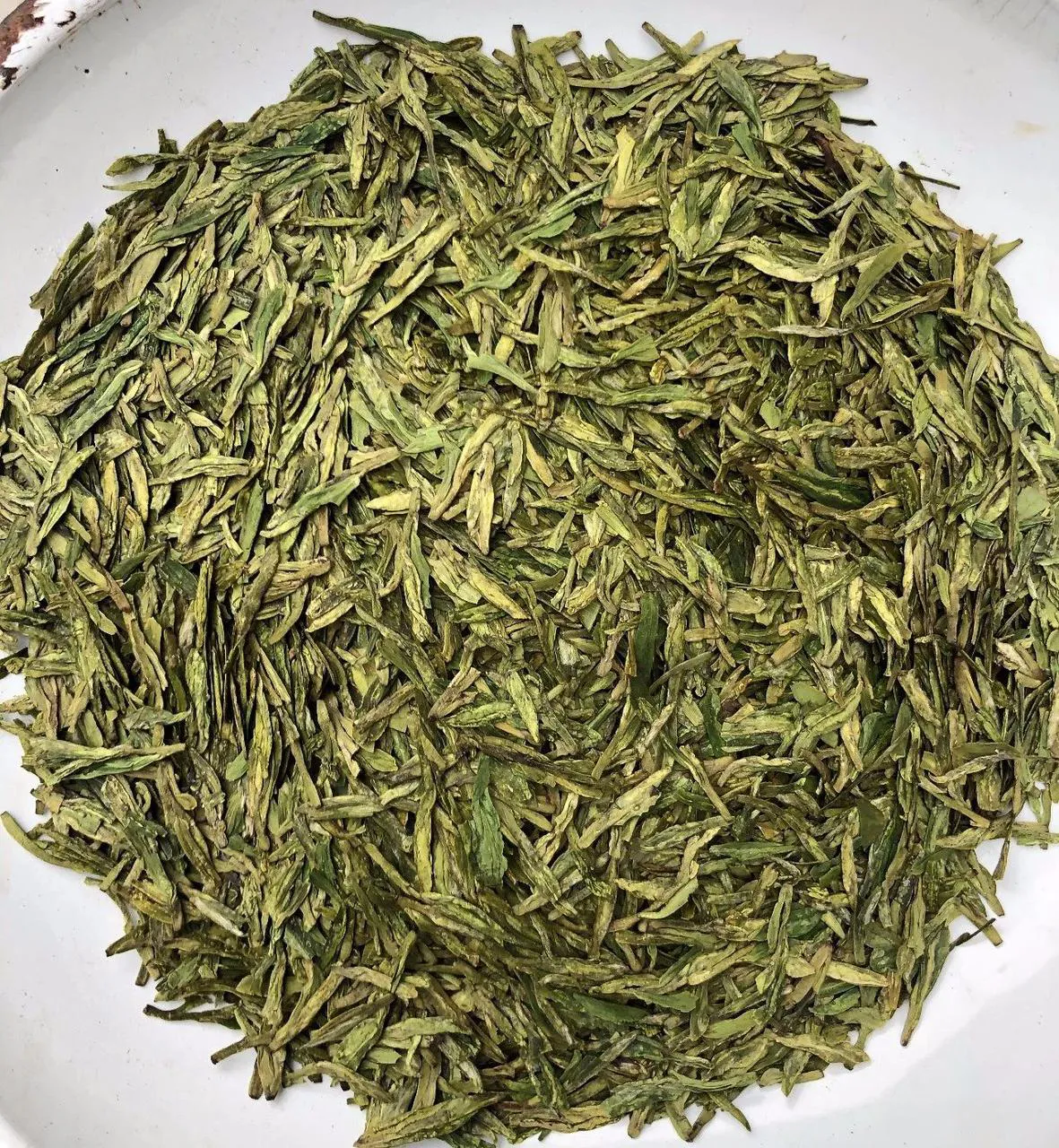 2023 group cultivar Shifeng Longjing tea