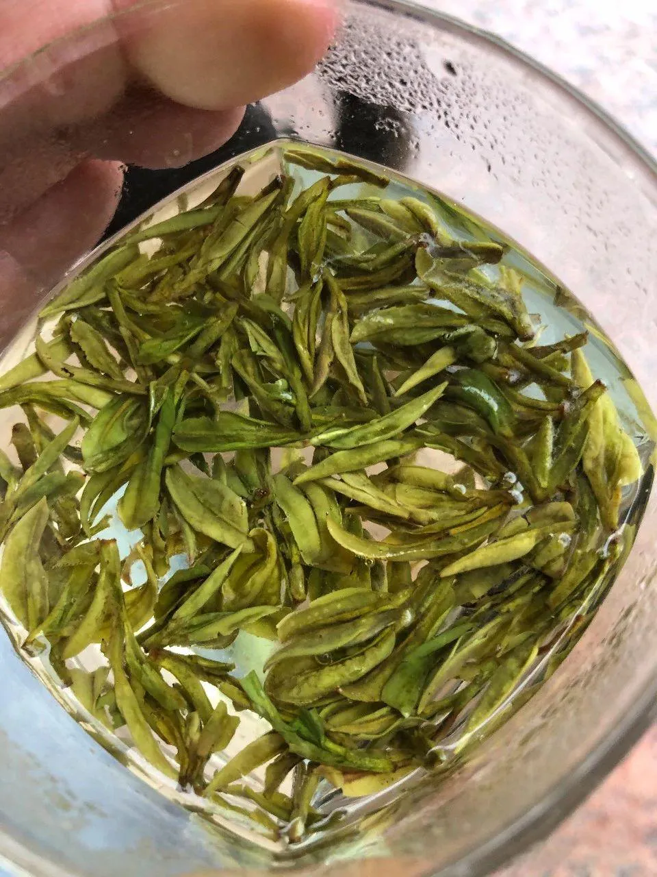 2023's first-picked Shifeng Longjing tea buds are thin and small due to low temperatures