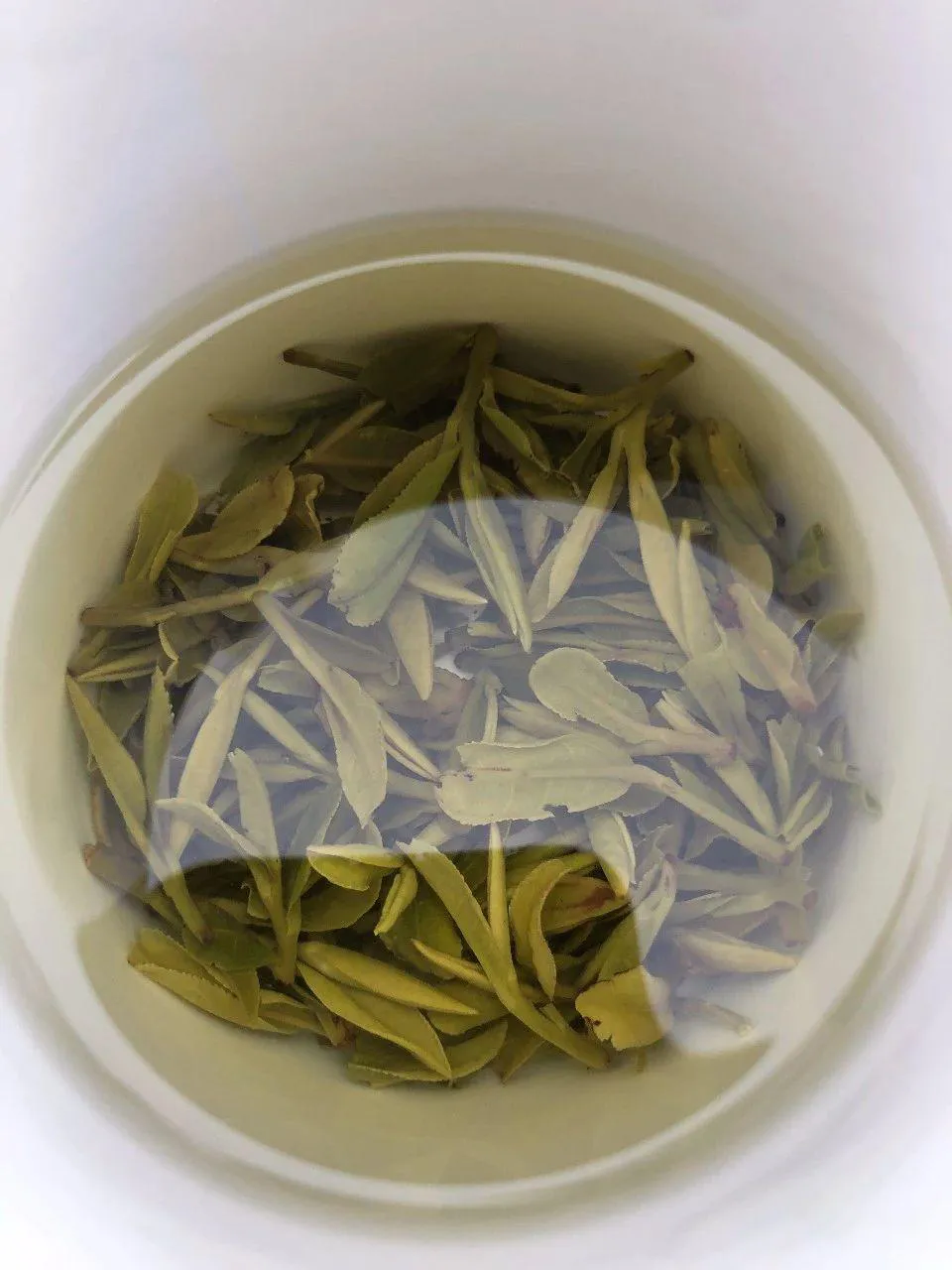 The leaves bottom of Shifeng Longjing tea